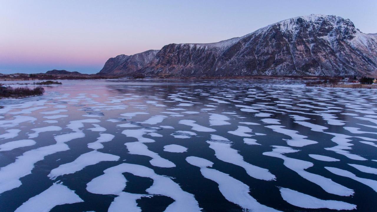 Wildlife Panorama Lofoten Bostad Exterior foto
